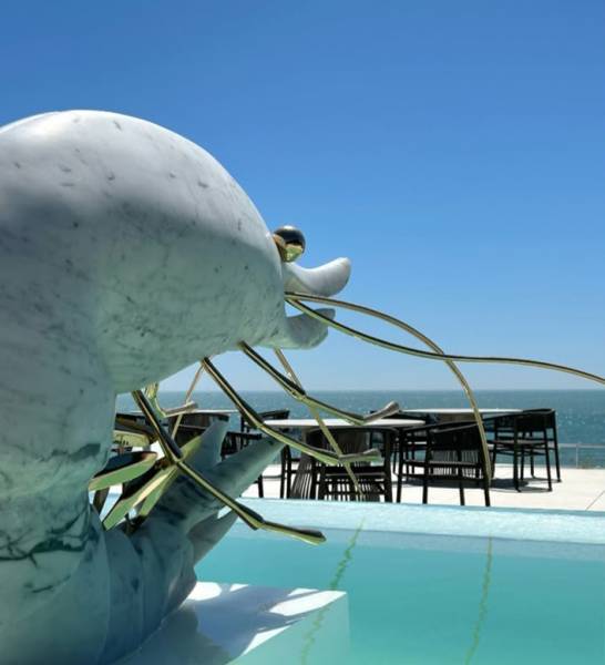 Un bassin transparent aux Sables-d'Olonne